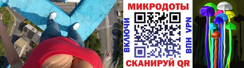Купить  Мезень  Псилоцибиновые грибы Psilocybe 