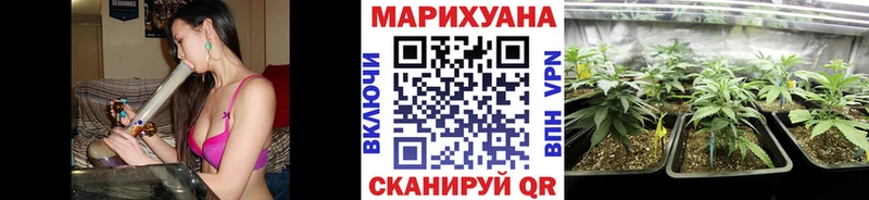 Конопля планчик  Купить  Мезень 